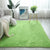 Multi Color Decoration Rug Nordic Plain Indoor Rug Faux Fur Anti-Slip Backing Washable Carpet Fruit Green Clearhalo 'Area Rug' 'Casual' 'Rugs' Rug' 2208884