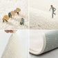 Multicolor Modern Carpet with Plant Pattern Non-slip Lambswool Rug for Room Clearhalo 'Alfombra' 'Hogar' 2214011