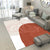 Morandi Color Parlor Rug Western Colorblock Carpet Synthetics Non-Slip Washable Indoor Rug Brick Red Clearhalo 'Area Rug' 'Rug' 2216196