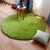 Modern Bedroom Rug Multi Colored Plain Area Carpet Fluffy Anti-Slip Backing Machine Washable Easy Care Rug Green Clearhalo 'Area Rug' 'Casual' 'Rugs' Rug' 2238762
