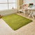 Casual Solid Color Rug Multi-Colored Polypropylene Area Carpet Pet Friendly Easy Care Indoor Rug for Living Room Green Clearhalo 'Area Rug' 'Casual' 'Rugs' Rug' 2239167