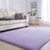 Multi Color Comfort Rug Cotton Blend Plain Indoor Rug Pet Friendly Easy Care Washable Carpet for Room Purple Clearhalo 'Area Rug' 'Casual' 'Rugs' Rug' 2239262