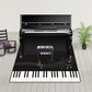 Novelty Home Decoration Rug Multi Color Music Print Area Rug Synthetics Non-Slip Machine Washable Carpet Black-White Clearhalo 'Area Rug' 'Rug' 2253691