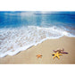 Novelty Living Room Rug Multi-Color Beach Pattern Carpet Polypropylene Anti-Slip Backing Washable Rug Clearhalo 'Area Rug' 'Rug' 2253804