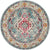 Multi-Colored Vintage Rug Polyster Floral Printed Area Rug Easy Care Pet Friendly Washable Carpet for Decoration Light Blue Clearhalo 'Area Rug' 'Rugs' 'Vintage' Rug' 2285427