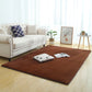 Calming Home Decor Rug Multi Colored Solid Color Indoor Rug Cotton Blend Anti-Slip Stain-Resistant Carpet Coffee Clearhalo 'Area Rug' 'Rug' 2287825