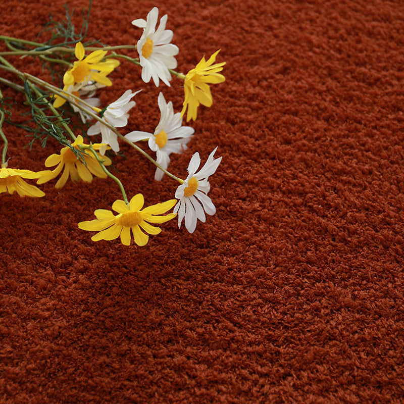 Trendy Solid Color Rug Multi Color Polyster Indoor Rug Non-Slip Backing Pet Friendly Area Carpet for Room Coffee Clearhalo 'Area Rug' 'Casual' 'Rugs' Rug' 2288165