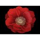 Casual Home Decoration Rug Multi Color Flower Printed Indoor Rug Lamb Wool Non-Slip Pet Friendly Carpet Red-Black Clearhalo 'Area Rug' 'Rug' 2288255