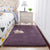 Modern Bedroom Rug Multi Color Solid Color Area Rug Cotton Blend Non-Slip Backing Easy Care Pet Friendly Carpet Purple Clearhalo 'Area Rug' 'Casual' 'Rugs' Rug' 2325658