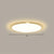 Flat LED Flush Mount Lighting Minimalist Acrylic Ceiling Light Fixture for Bedroom Gold 16" Warm Clearhalo 'Ceiling Lights' 'Close To Ceiling Lights' 'Close to ceiling' 'Flush mount' Lighting' 2327134