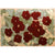 French Country Flower Print Rug Multi Colored Polypropylene Carpet Anti-Slip Backing Stain-Resistant Indoor Rug for Decoration Red Clearhalo 'Area Rug' 'French Country' 'Rugs' Rug' 2334457