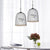 1 Bulb Cage Pendant Lamp Contemporary Metal Suspended Lighting Fixture in Black/Pink with Bird Black Clearhalo 'Ceiling Lights' 'Pendant Lights' 'Pendants' Lighting' 233877_7f37379e-1660-41a5-a8a3-524ab96596f8