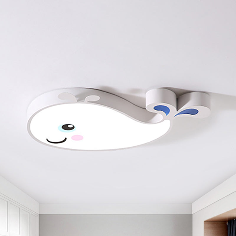 Dolphin Kindergarten Ceiling Light Fixture Acrylic Cartoon Ceiling Light Fixture
