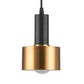 Grenade Shaped Pendulum Light Postmodern Metal 1 Bulb Black-Brass Hanging Pendant Clearhalo 'Ceiling Lights' 'Modern Pendants' 'Modern' 'Pendant Lights' 'Pendants' Lighting' 2405673