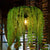 Industrial Wagon Wheel Pendant Light Single-Bulb Iron Suspension Light Fixture with Art Plant Green Clearhalo 'Art Deco Pendants' 'Black' 'Cast Iron' 'Ceiling Lights' 'Ceramic' 'Crystal' 'Industrial Pendants' 'Industrial' 'Metal' 'Middle Century Pendants' 'Pendant Lights' 'Pendants' 'Rustic Pendants' 'Tiffany' Lighting' 2408541