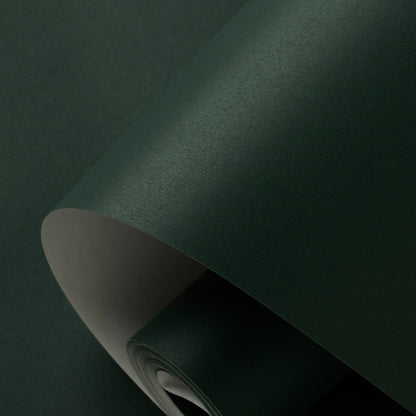 Minimalist Style Wallpaper Roll Pastel Color Plain Wall Covering, 33' L x 20.5" W Blackish Green Wallpaper Roll Clearhalo 'Modern wall decor' 'Modern' 'Wallpaper' Wall Decor' 2413278