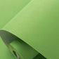 Minimalist Style Wallpaper Roll Pastel Color Plain Wall Covering, 33' L x 20.5" W Green Wallpaper Roll Clearhalo 'Modern wall decor' 'Modern' 'Wallpaper' Wall Decor' 2413287
