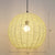 Sphere Shaped Rattan Suspension Light Minimalist 1 Head Pendant Ceiling Light for Restaurant Light Yellow 16" Clearhalo 'Ceiling Lights' 'Modern Pendants' 'Modern' 'Pendant Lights' 'Pendants' Lighting' 2415369