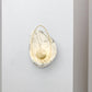 Resin Shell Shaped Wall Lamp Single Head Modern Metal LED Wall Lighting in White/Black Light Clearhalo 'Modern wall lights' 'Modern' 'Wall Lamps & Sconces' 'Wall Lights' Lighting' 242976