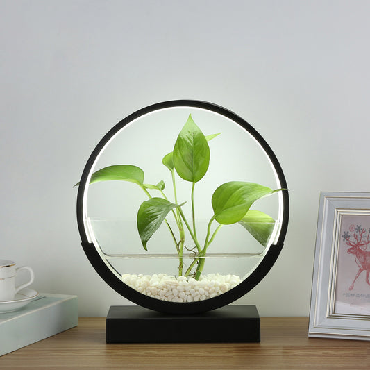 Nordic Circle Table Lamp Acrylic Bedroom LED Night Light with Hydroponics Plant Pot Design Black White Clearhalo 'Lamps' 'Table Lamps' Lighting' 2478434