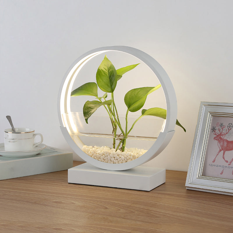 Nordic Circle Table Lamp Acrylic Bedroom LED Night Light with Hydroponics Plant Pot Design Clearhalo 'Lamps' 'Table Lamps' Lighting' 2478438