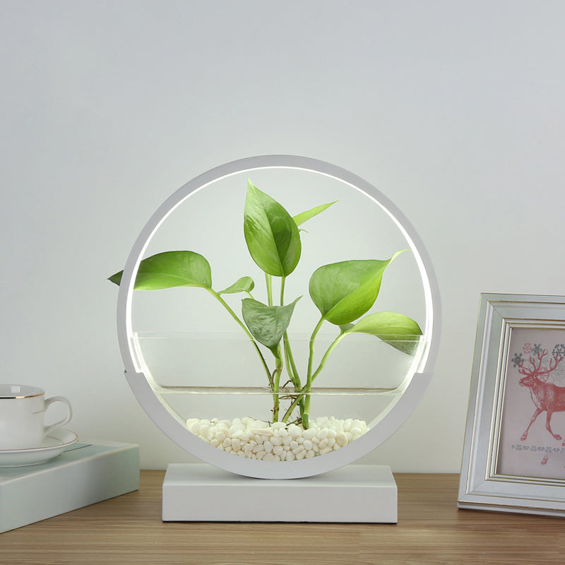 Nordic Circle Table Lamp Acrylic Bedroom LED Night Light with Hydroponics Plant Pot Design White White Clearhalo 'Lamps' 'Table Lamps' Lighting' 2478441