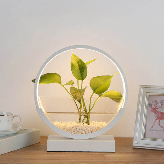 Nordic Circle Table Lamp Acrylic Bedroom LED Night Light with Hydroponics Plant Pot Design White Warm Clearhalo 'Lamps' 'Table Lamps' Lighting' 2478442