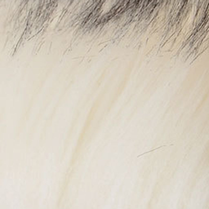 Multicolored Bedroom Rug Calming Solid Color Indoor Rug Fuzzy Non-Slip Backing Pet Friendly Area Carpet Clearhalo 'Area Rug' 'Casual' 'Rugs' Rug' 2480169