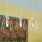 Tapered Clear Glass Multi-Light Pendant Modern 3-Bulb Dining Room Hanging Lamp in White, Round/Linear Canopy White Linear Canopy Clearhalo 'Ceiling Lights' 'Glass shade' 'Glass' 'Industrial Pendants' 'Industrial' 'Middle Century Pendants' 'Pendant Lights' 'Pendants' 'Tiffany' Lighting' 253549