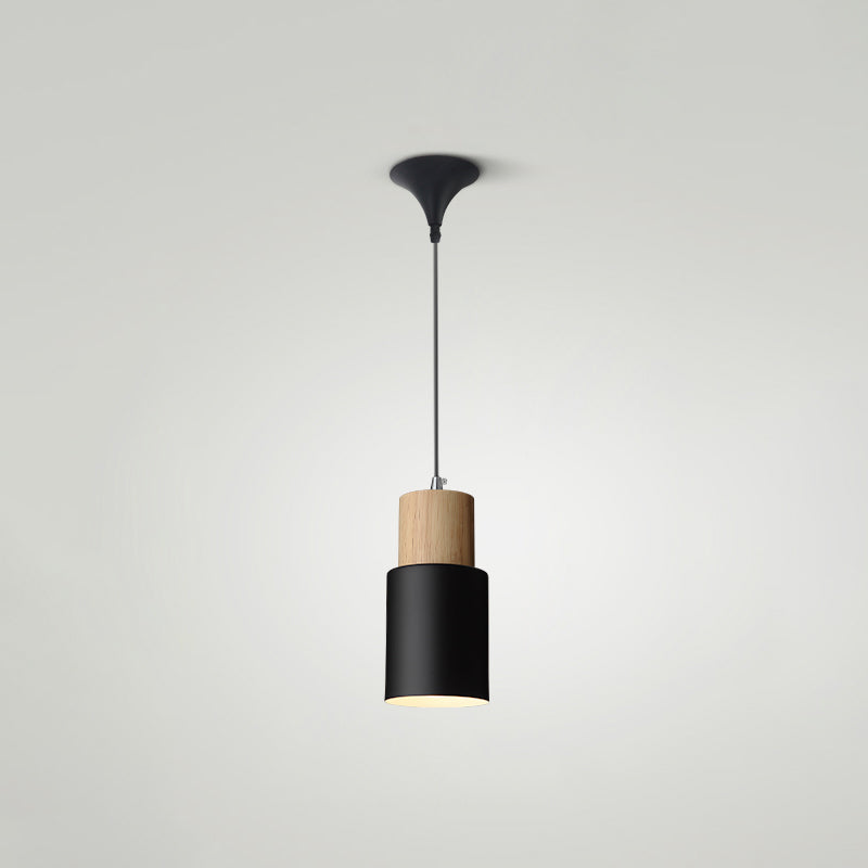 Indoor Nordic Pendant Light Modern Simple Creative Single Pendant Light for Restaurant Coffee Shop Black 4" Clearhalo 'Ceiling Lights' 'Modern Pendants' 'Modern' 'Pendant Lights' 'Pendants' Lighting' 2555044