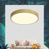 Modern Simple LED Ceiling Light Round Flush Mount Lighting Fixture for Bedroom Clearhalo 'Ceiling Lights' 'Close To Ceiling Lights' 'Close to ceiling' 'Flush mount' Lighting' 2562794