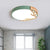 Round Flush Mount Light 1 Light Metal Nordic Flush Mount Spotlight with Antlers Decoration Green Clearhalo 'Ceiling Lights' 'Close To Ceiling Lights' 'Close to ceiling' 'Flush mount' Lighting' 2590553