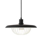 Modern Style Pendant Light Fixture Wire Cage Down Lighting Pendant with Metal Shade Black Clearhalo 'Ceiling Lights' 'Pendant Lights' 'Pendants' Lighting' 2604330_85985c7b-f6b7-4b70-81d9-73bcf8bf4f2a
