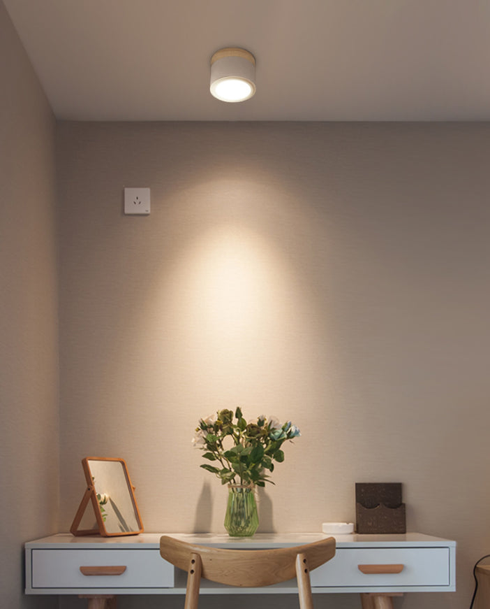 Cylinder Flush Mount Ceiling Fixture Nordic Style LED Metal Flush Ceiling Light Fixture Clearhalo 'Ceiling Lights' 'Close To Ceiling Lights' 'Lighting' 2605024