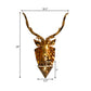 Diamond Cage Foyer Wall Light Sconce Resin 1 Bulb Country Style Wall Lamp with Elk Backplate in Gold, 16"/26" Wide Clearhalo 'Wall Lamps & Sconces' 'Wall Lights' Lighting' 333355