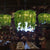 5 Lights Metal Chandelier Light Fixture Industrial Green Plant Design Restaurant Ceiling Light, 21.5"/25.5" Wide Green Clearhalo 'Cast Iron' 'Ceiling Lights' 'Chandeliers' 'Industrial Chandeliers' 'Industrial' 'Metal' 'Middle Century Chandeliers' 'Rustic Chandeliers' 'Tiffany' Lighting' 359722
