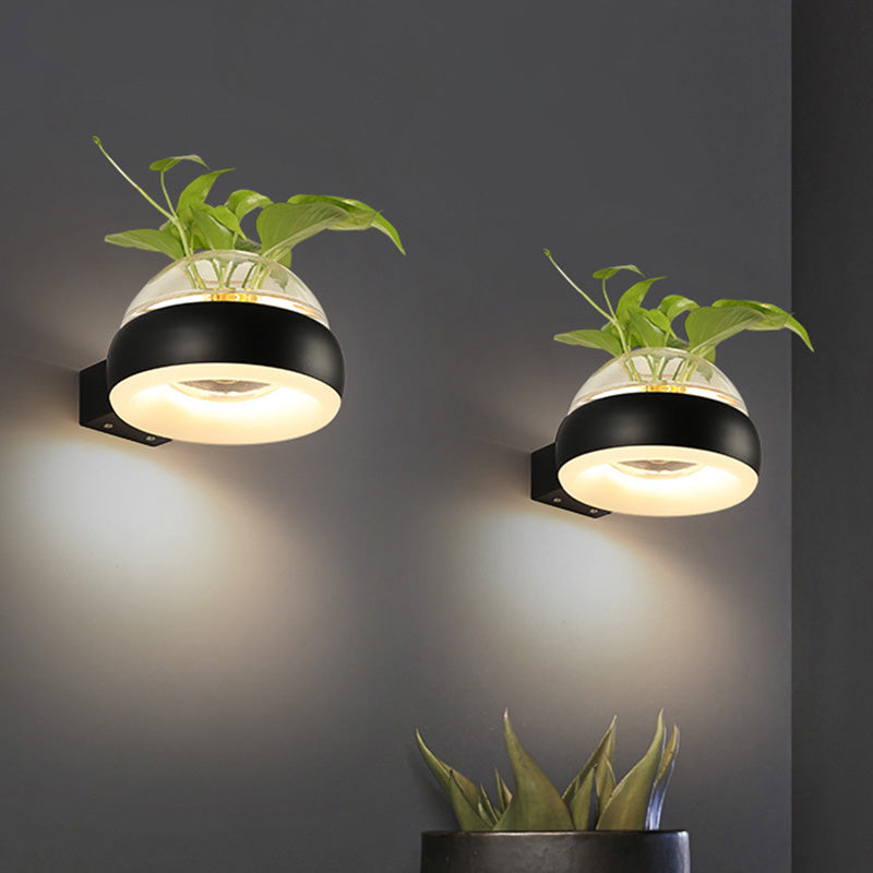 Clear Glass Dome Wall Lighting Industrial 1 Bulb Bedroom LED Wall Sconce Lamp in Black/Grey/White with Plant Container Clearhalo 'Cast Iron' 'Glass' 'Industrial wall lights' 'Industrial' 'Middle century wall lights' 'Modern' 'Tiffany' 'Traditional wall lights' 'Wall Lamps & Sconces' 'Wall Lights' Lighting' 390087