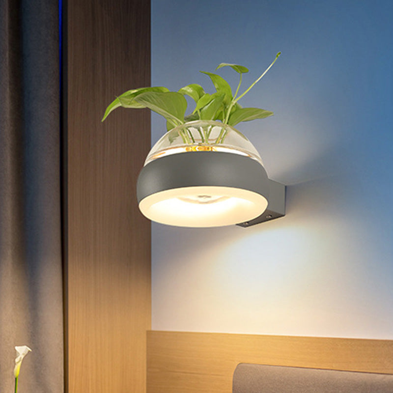 Clear Glass Dome Wall Lighting Industrial 1 Bulb Bedroom LED Wall Sconce Lamp in Black/Grey/White with Plant Container Grey Clearhalo 'Cast Iron' 'Glass' 'Industrial wall lights' 'Industrial' 'Middle century wall lights' 'Modern' 'Tiffany' 'Traditional wall lights' 'Wall Lamps & Sconces' 'Wall Lights' Lighting' 390094