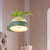 Clear Glass Dome Wall Lighting Industrial 1 Bulb Bedroom LED Wall Sconce Lamp in Black/Grey/White with Plant Container Green Clearhalo 'Cast Iron' 'Glass' 'Industrial wall lights' 'Industrial' 'Middle century wall lights' 'Modern' 'Tiffany' 'Traditional wall lights' 'Wall Lamps & Sconces' 'Wall Lights' Lighting' 390097