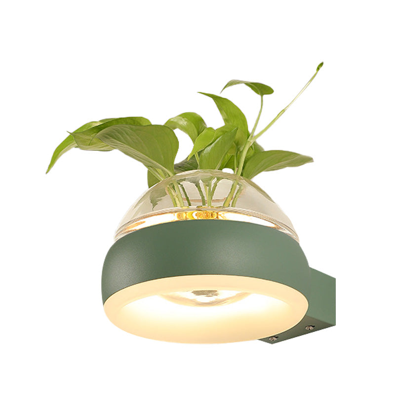 Clear Glass Dome Wall Lighting Industrial 1 Bulb Bedroom LED Wall Sconce Lamp in Black/Grey/White with Plant Container Clearhalo 'Cast Iron' 'Glass' 'Industrial wall lights' 'Industrial' 'Middle century wall lights' 'Modern' 'Tiffany' 'Traditional wall lights' 'Wall Lamps & Sconces' 'Wall Lights' Lighting' 390099