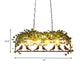 Retro Birdcage Island Light Fixture 2/3/4 Bulbs Metal LED Plant Ceiling Suspension Lamp in Black Clearhalo 'Ceiling Lights' 'Island Lights' Lighting' 391790