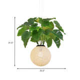 1 Head Metal Pendant Lamp Antique White Ball Restaurant Down Lighting with Plant Decoration Clearhalo 'Art Deco Pendants' 'Cast Iron' 'Ceiling Lights' 'Ceramic' 'Crystal' 'Industrial Pendants' 'Industrial' 'Metal' 'Middle Century Pendants' 'Pendant Lights' 'Pendants' 'Tiffany' Lighting' 398111