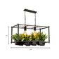 Black 2 Heads Island Lamp Industrial Metal Rectangular LED Plant Hanging Ceiling Light for Restaurant Clearhalo 'Ceiling Lights' 'Island Lights' Lighting' 398269