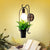 Potted Plant Restaurant Sconce Light Industrial Metal 1 Bulb Black LED Wall Lighting Black Clearhalo 'Art deco wall lights' 'Cast Iron' 'Glass' 'Industrial wall lights' 'Industrial' 'Middle century wall lights' 'Modern' 'Rustic wall lights' 'Tiffany' 'Traditional wall lights' 'Wall Lamps & Sconces' 'Wall Lights' Lighting' 401096