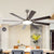 Circular Dining Room Semi Flushmount Traditional Acrylic 60" Wide LED Coffee Hanging Ceiling Fan Light with 8 Blades Coffee Clearhalo 'Ceiling Fans with Lights' 'Ceiling Fans' Lighting' 403599