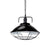 11"/14" Dia 1 Light Dome Hanging Lamp Industrial Black/Blue Metal Pendant Lighting with Wire Cage for Indoor Black Clearhalo 'Art Deco Pendants' 'Black' 'Cast Iron' 'Ceiling Lights' 'Ceramic' 'Crystal' 'Industrial Pendants' 'Industrial' 'Metal' 'Middle Century Pendants' 'Pendant Lights' 'Pendants' 'Rustic Pendants' 'Tiffany' Lighting' 41810