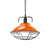 11"/14" Dia 1 Light Dome Hanging Lamp Industrial Black/Blue Metal Pendant Lighting with Wire Cage for Indoor Orange Clearhalo 'Art Deco Pendants' 'Black' 'Cast Iron' 'Ceiling Lights' 'Ceramic' 'Crystal' 'Industrial Pendants' 'Industrial' 'Metal' 'Middle Century Pendants' 'Pendant Lights' 'Pendants' 'Rustic Pendants' 'Tiffany' Lighting' 41813