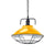 11"/14" Dia 1 Light Dome Hanging Lamp Industrial Black/Blue Metal Pendant Lighting with Wire Cage for Indoor Yellow Clearhalo 'Art Deco Pendants' 'Black' 'Cast Iron' 'Ceiling Lights' 'Ceramic' 'Crystal' 'Industrial Pendants' 'Industrial' 'Metal' 'Middle Century Pendants' 'Pendant Lights' 'Pendants' 'Rustic Pendants' 'Tiffany' Lighting' 41817