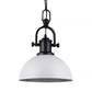 Vintage Style Dome Pendant Light 1 Bulb Metal Hanging Lamp in Black/White for Dining Room Clearhalo 'Art Deco Pendants' 'Black' 'Cast Iron' 'Ceiling Lights' 'Ceramic' 'Crystal' 'Industrial Pendants' 'Industrial' 'Metal' 'Middle Century Pendants' 'Pendant Lights' 'Pendants' 'Rustic Pendants' 'Tiffany' Lighting' 598251