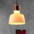 Metallic Barn Ceiling Pendant Vintage Style 1 Light Restaurant Ceiling Pendant Lamp with 47" Hanging Cord in Black/White White Clearhalo 'Art Deco Pendants' 'Black' 'Cast Iron' 'Ceiling Lights' 'Ceramic' 'Crystal' 'Glass shade' 'Glass' 'Industrial Pendants' 'Industrial' 'Metal' 'Middle Century Pendants' 'Pendant Lights' 'Pendants' 'Rustic Pendants' 'Tiffany' Lighting' 600079